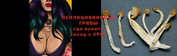 мескалин Алексин