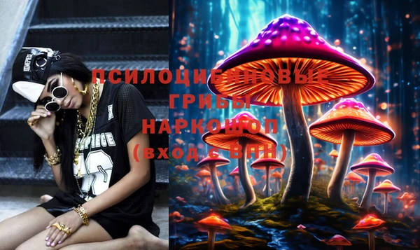 амф Алексеевка