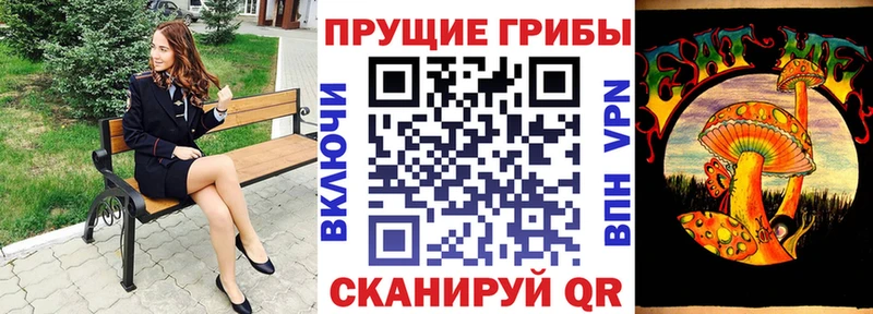 закладка  Сорск  Галлюциногенные грибы Cubensis 